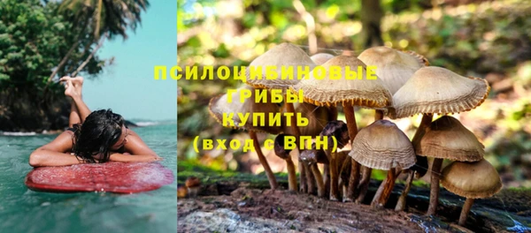 меф Елабуга